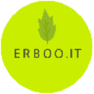 Erboo.it