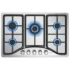 Piano Cottura a Gas (Acciaio Inossidabile -Piano Cottura 5 Fuochi)