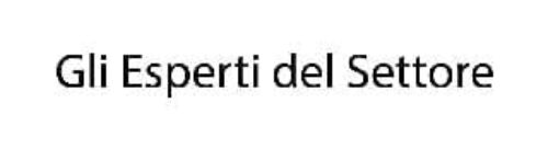 Gli Esperti Del Settore