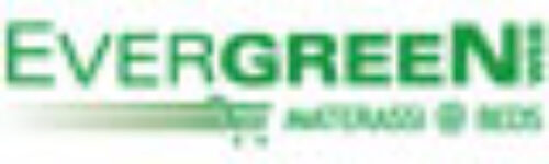 EvergreenWeb
